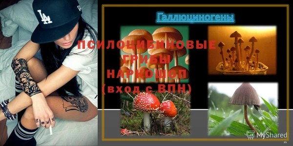 бошки Беломорск