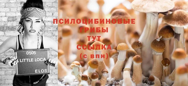 мяу мяу мука Белоозёрский