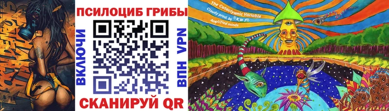 где можно купить наркотик  Судак  Галлюциногенные грибы GOLDEN TEACHER 